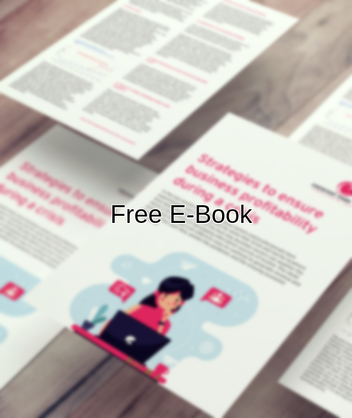 Profitability in Crisis ebook