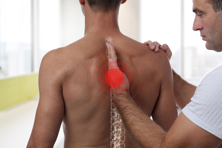 chiroprcator services
